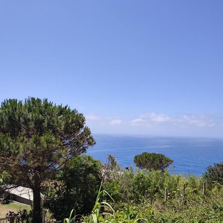 Apartmán Casa De Somma Forio di Ischia Exteriér fotografie