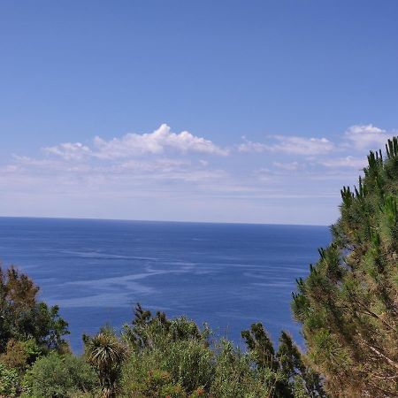 Apartmán Casa De Somma Forio di Ischia Exteriér fotografie